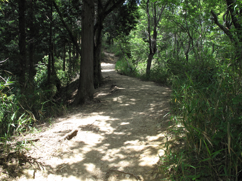 20140602hike (264)